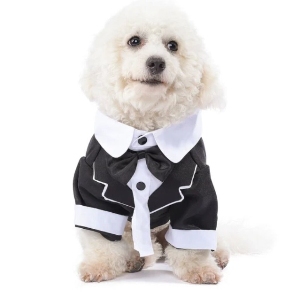 Cute Tuxedo Pet Costume (L)